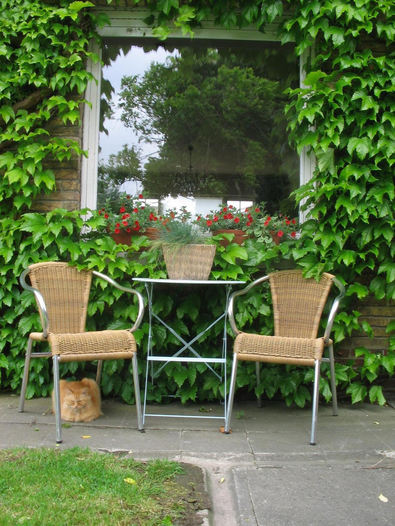 B&B Villa Vanilla Ypres Extérieur photo